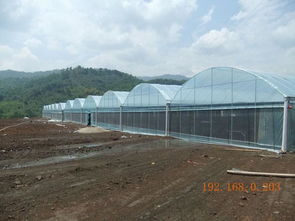 選擇睿農(nóng)溫室大棚設(shè)備 廣西大棚配件廠家的專業(yè)優(yōu)勢與價(jià)格指南