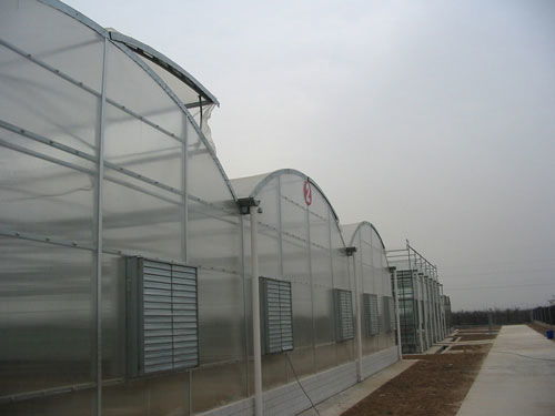 新華農(nóng)連棟溫室大棚 高性價(jià)比的現(xiàn)代農(nóng)業(yè)解決方案
