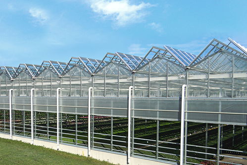 溫室的主要類型、材料選擇及配套設(shè)施設(shè)計(jì)概述