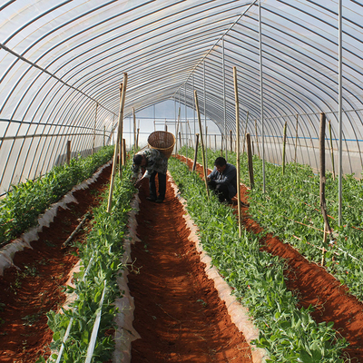 玻璃溫室、薄膜溫室與無土栽培 農(nóng)業(yè)溫室大棚材料及配套設(shè)施的設(shè)計要點