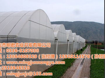 銀川市明君農(nóng)業(yè)連棟溫室 材料與配套設(shè)施設(shè)計(jì)的優(yōu)化與創(chuàng)新